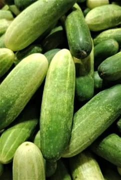 Piles of cucumbers Stock Photos
