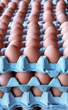Piles eggs Stock Photos