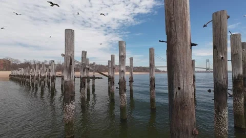 Piles 動画素材 305277617