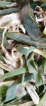 Piles of garbage leek Stock Photos