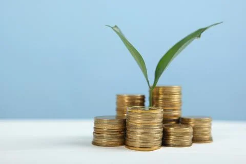Piles of gold coins and a fresh sprout. cash income growth concept. Stock Photos