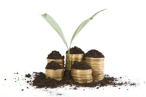 Piles of gold coins in the ground and green fresh sprouts. Stock Photos