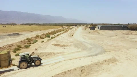 Piles of hay are getting collected by agricultural machines in haystack. Bale of Stock Footage 155626136