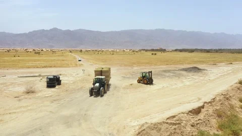 Piles of hay are getting collected by agricultural machines in haystack. Bale of Stock Footage 155626542