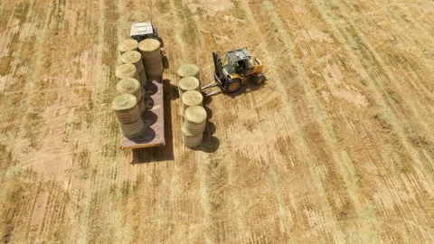 Piles of hay are getting collected by agricultural machines in haystack. Bale of Stock Footage 155626568