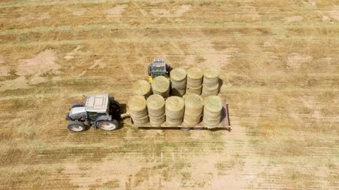 Piles of hay are getting collected by agricultural machines in haystack. Bale of Stock Footage 155626680