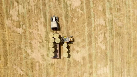 Piles of hay are getting collected by agricultural machines in haystack. Bale of Stock Footage 155627201