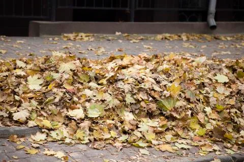 Piles of litter. Stock Photos
