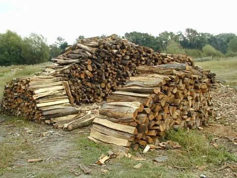 Piles of logs Stock Photos