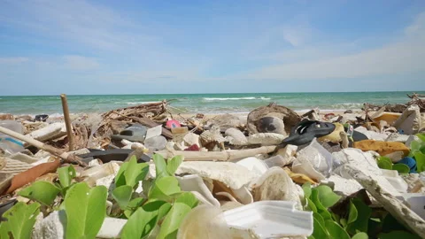 Piles of Plastic Garbage Pollute the Ocean Beach. A Lot of Plastic Debris Lies Stock Footage 236686387