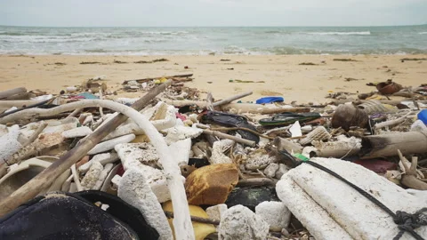 Piles of Plastic Garbage Pollute the Ocean Beach. A Lot of Plastic Debris Lies Video stock 251622469