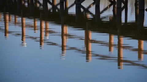 Piles Reflection in Calm Water Surface Stock Footage 333618724