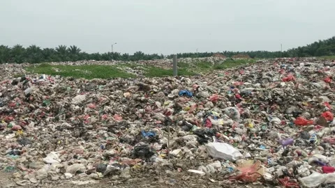 Piles of rubbish Stock Footage 251889235