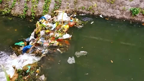Piles of rubbish in the river Stock Footage 265146211