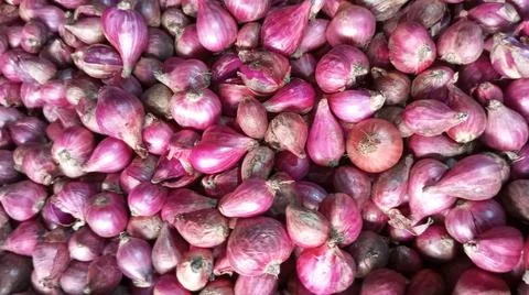 Piles of shallots Stock-Fotos