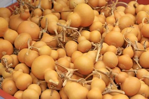 Piles of small gourds Stock Photos