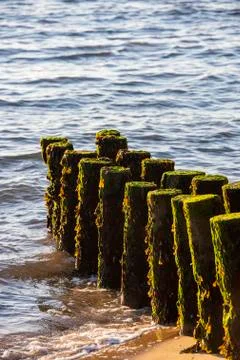 Piles To Stabilize The Beach Of Cap Ferret's Point And The Dune Of Pilat Stock Photos