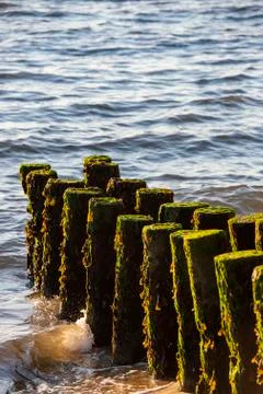 Piles To Stabilize The Beach Of Cap Ferret's Point And The Dune Of Pilat Stock Photos
