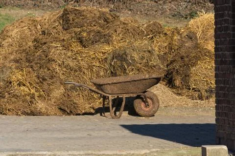 Piles of stinking manure Stock Photos