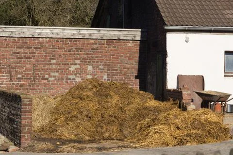 Piles of stinking manure Stock Photos