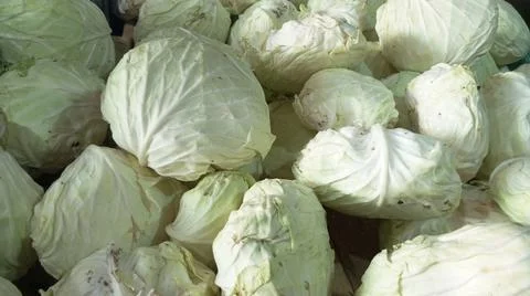 Piles of white cabbage Stock-Fotos