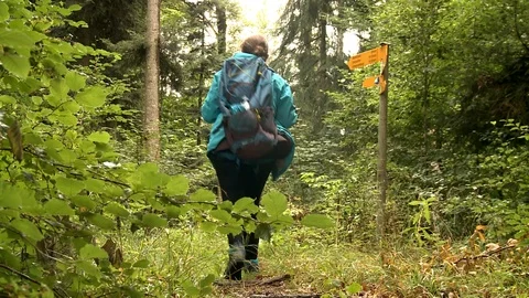 PILGRIM cloudy woods2 Video stock 111728826