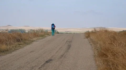 Pilgrim goes on the road, a strong wind blows the grass Stock-Footage 113002952