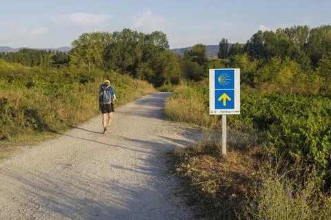 Pilgrim passing by a yellow shell and arrow sign, Camino de Santiago, Spain. Foto stock