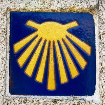 Pilgrim shell Stock Photos