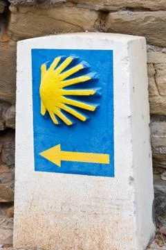 Pilgrim shell Stock Photos