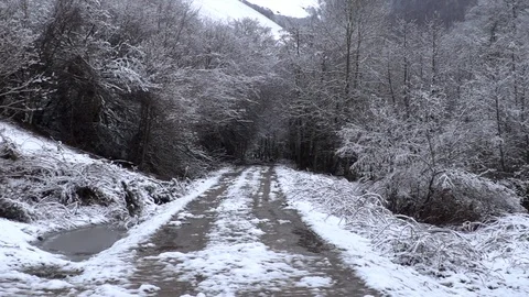 PILGRIM in the snow walking away 動画素材 111438479