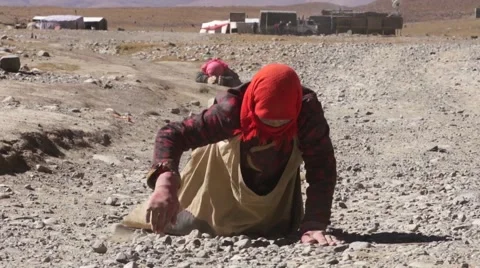 Pilgrim stretches during kora around Lake Manasarovar Video stock 44032091