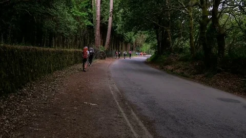 Pilgrims crowd walking hyperlapse in nature wild road, people on camino santiago Stock Footage 111152341