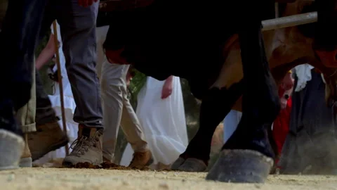 A Pilgrims’ legs walking through dust and sunlight, blending devotion and Stock-Footage 322204378