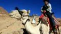 Pilgrims. Moses Mountain. Sinai. Egypt HD Footage