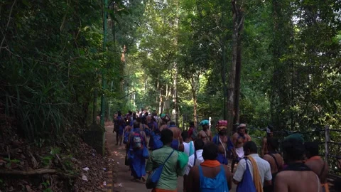 Pilgrims walk through the forest to Sabarimala Stock Footage 241967885