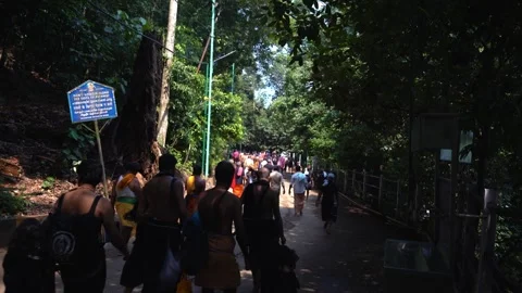 Pilgrims walk through the forest to Sabarimala Stock Footage 241968311