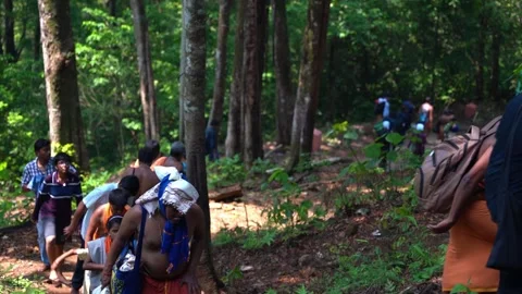 Pilgrims walk through the forest to Sabarimala Stock Footage 242052189