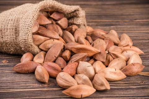 Pili nuts 写真素材