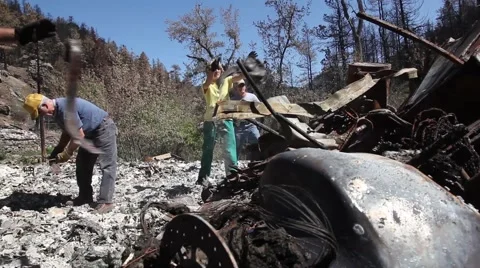 Piling Burned Remains from Wildfire 스톡 동영상 45362678