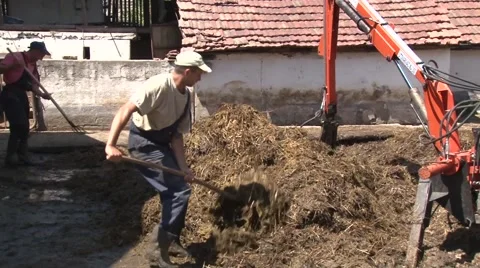 Piling up livestock manure Stock Footage 56513061