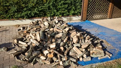 Piling woods Stock-Footage 81326934