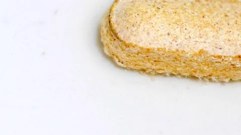 Pill capsule, Timelapse Macro shot Dissolves In Water. White background close up Stock Footage 72232799