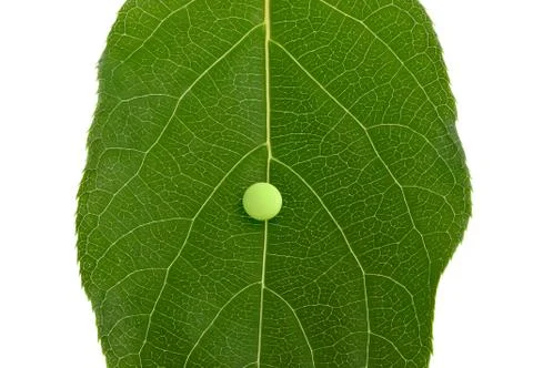 Pill on green leaf Foto stock
