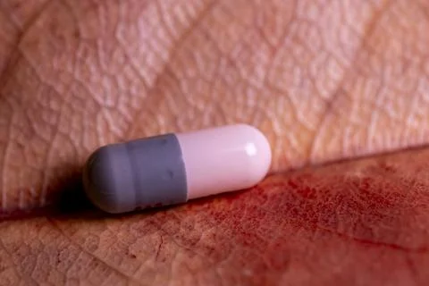 A pill is on a leaf Fotos Stock