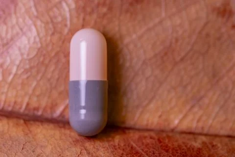 A pill is sitting on a leaf Stock-Fotos