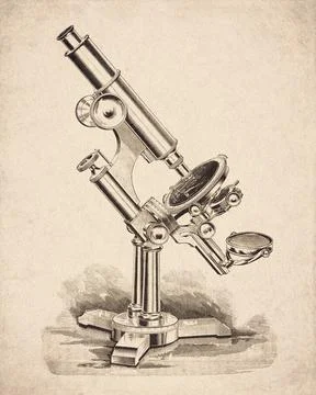 Pillar Support Four Footed Stand Circular Stage Compound Microscope Scienti.. イラスト素材