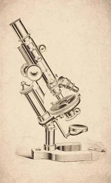 Pillar Support Horseshoe Base Circular Stage Polarizing Compound Microscope.. イラスト素材