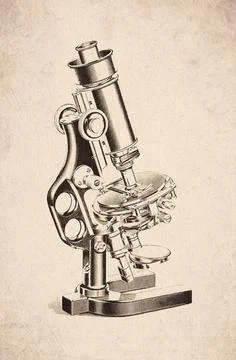 Pillar Support Horseshoe Base Circular Stage Compound Microscope Scientific.. イラスト素材