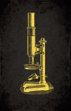 Pillar Support Horseshoe Base Compound Microscope Scientific Instrument Eng.. イラスト素材